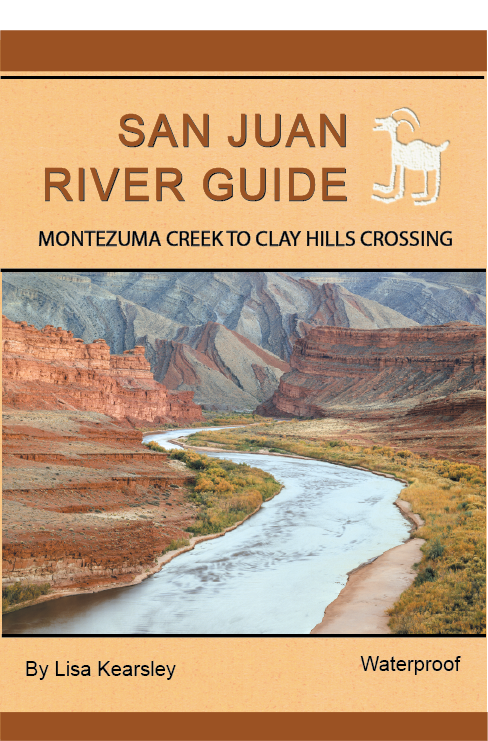 San Juan River Guide Cover